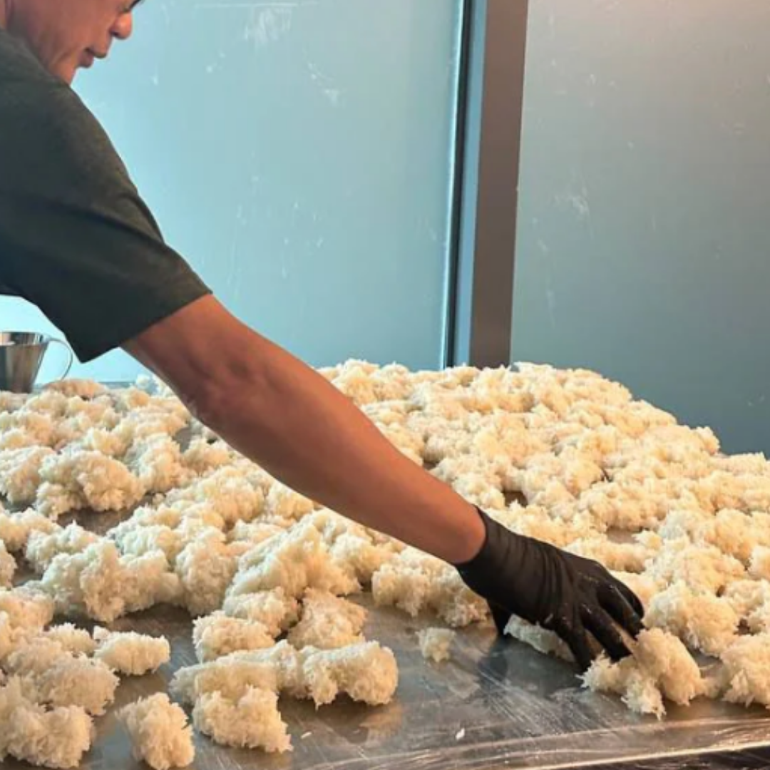 Person wearing black gloves cooling a glutinous rice for chinese wine brewing on a metal surface.