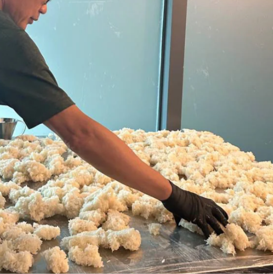 Person wearing black gloves cooling a glutinous rice for chinese wine brewing on a metal surface.