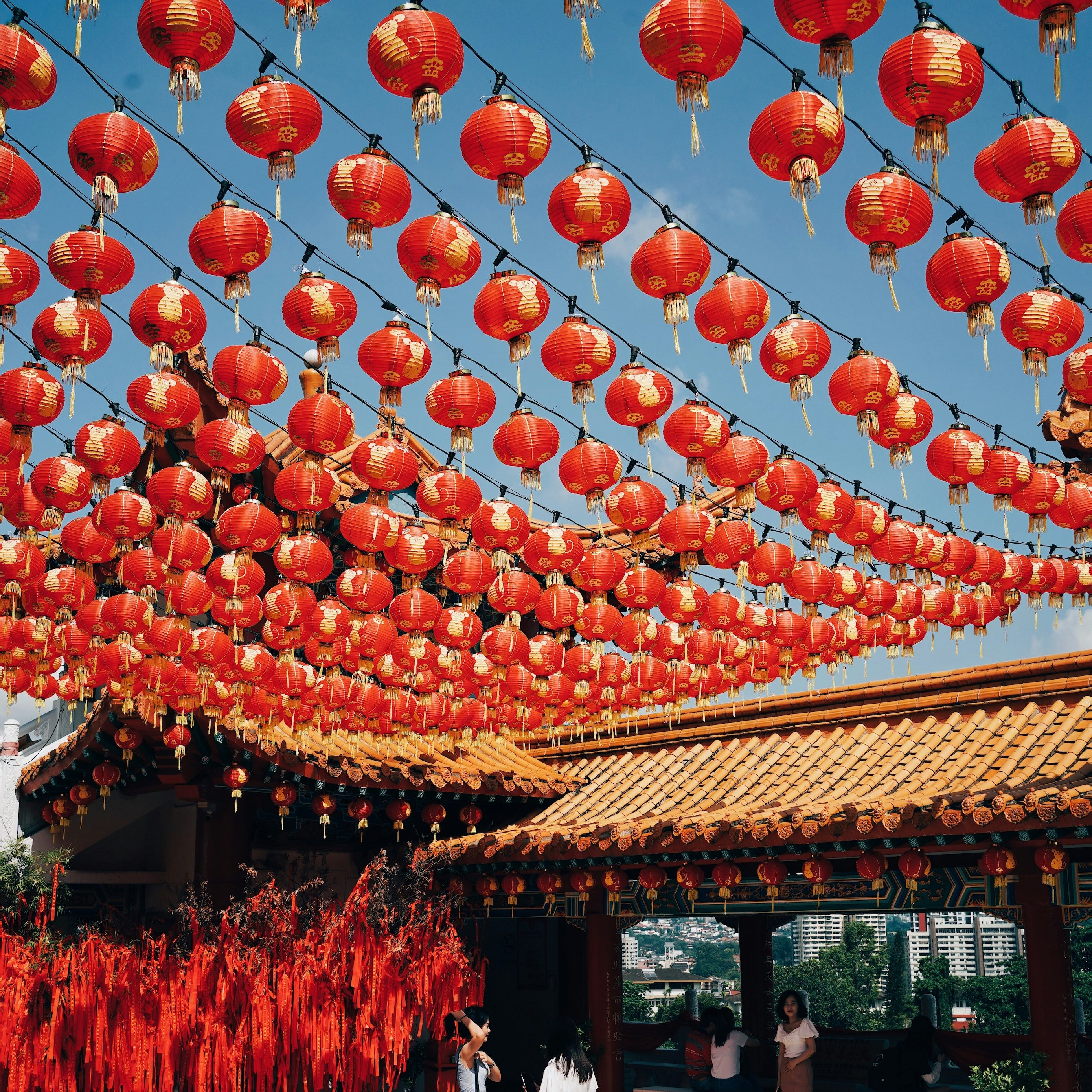 Chinese New Year Lanterns