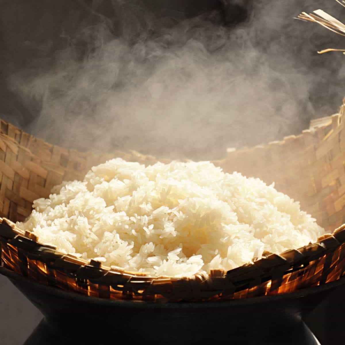 Steaming Glutinous rice for Glutinous Rice Wine